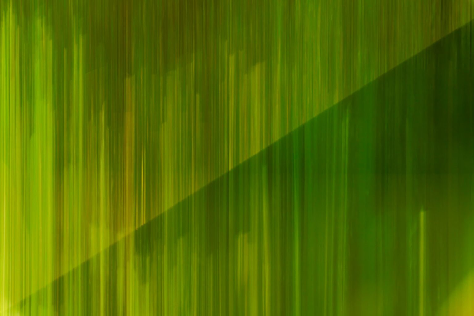 xx 001 23