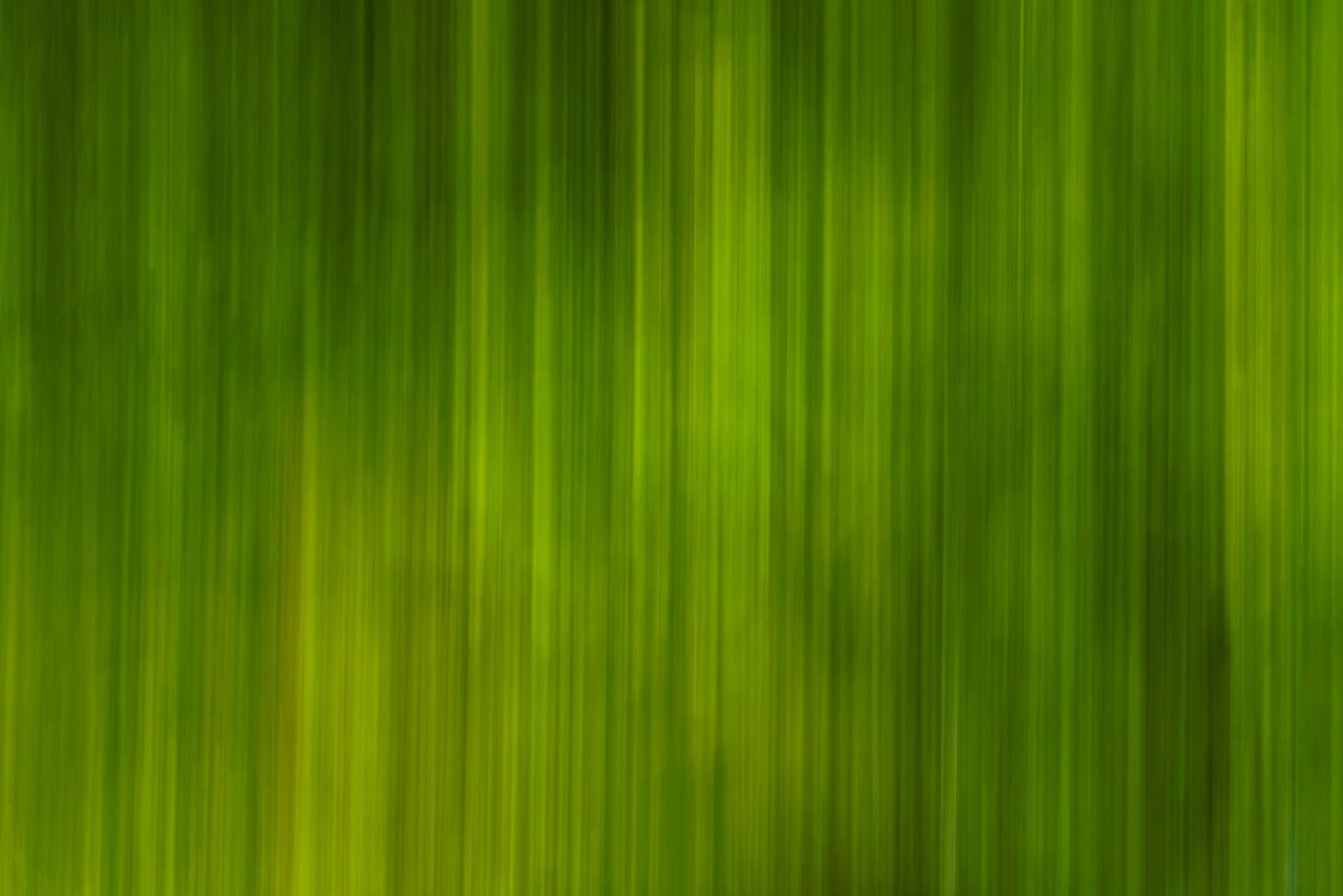 Michael BOUTON - Vertiges de Paysages - Force de la Nature - Green Scents - xx 014 23ii